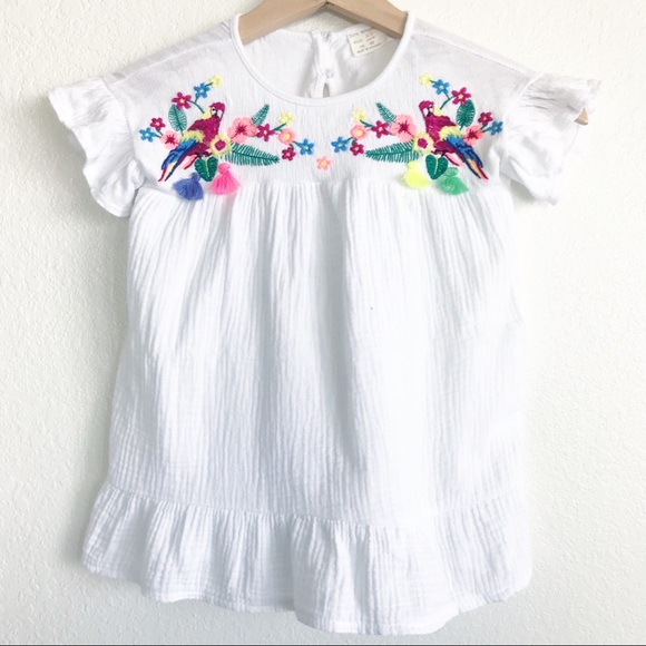 Zara Other - ZARA Girls Embroidered Dress